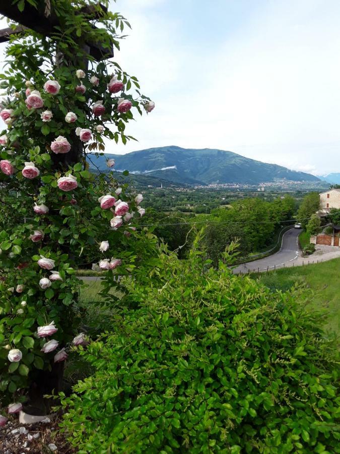 Locanda Bellavista 卡瓦索德图巴 外观 照片